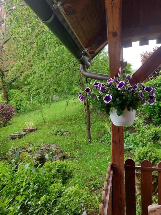 Kuca Za Odmor Anamarija Villa Ogulin Bagian luar foto