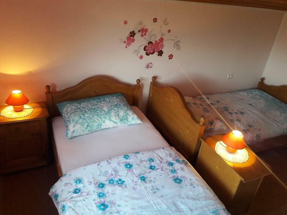 Kuca Za Odmor Anamarija Villa Ogulin Bagian luar foto